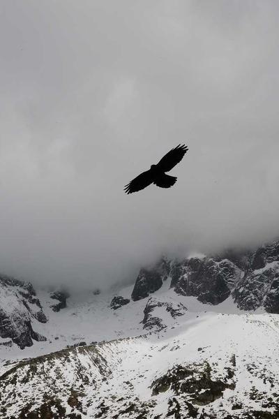 Diyar e Dil Novel PDF Free Download